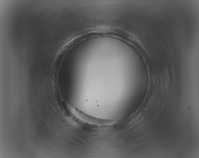 X0000067491304200604211648