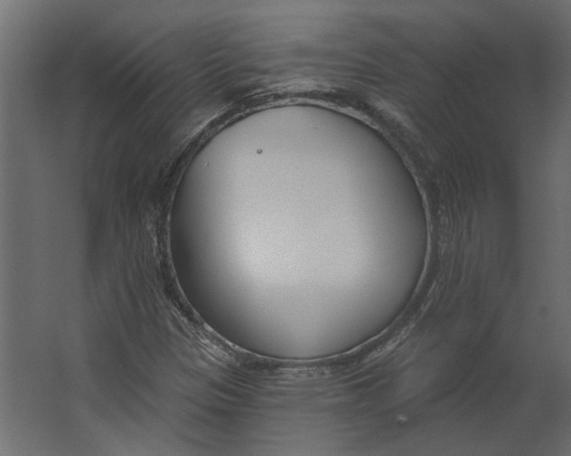 X0000067491305200604211648