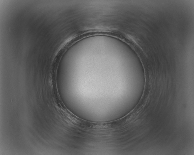 X0000067491307200604211648