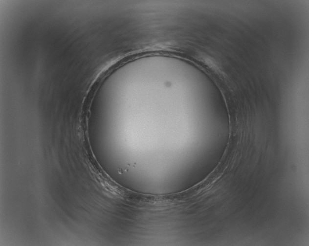 X0000067491308200604211648