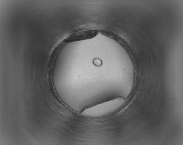 X0000067491309200604211648