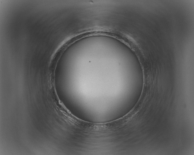 X0000067491310200604211648