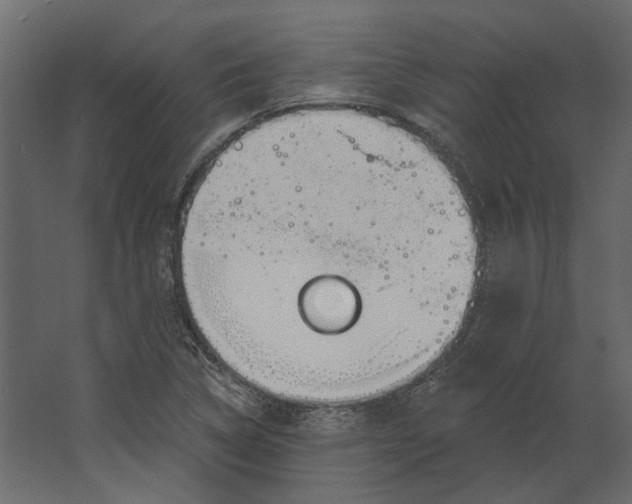 X0000067491314200604211649