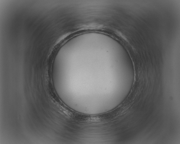 X0000067491315200604211649