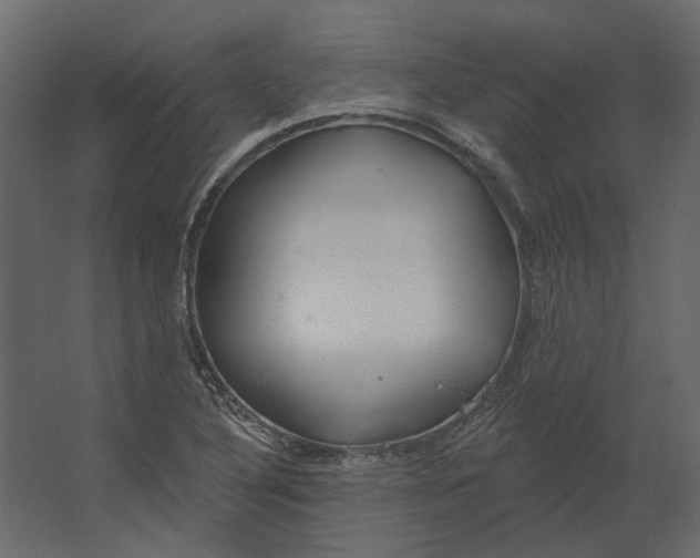 X0000067491316200604211649