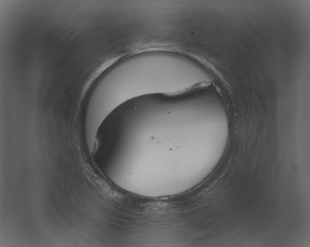 X0000067491317200604211649