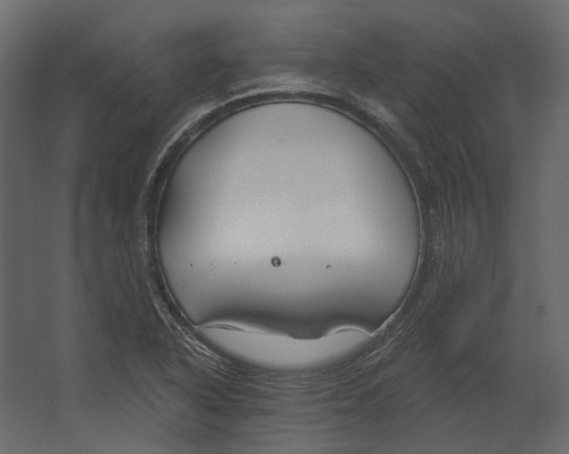 X0000067491318200604211649