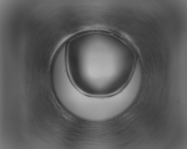 X0000067491320200604211649