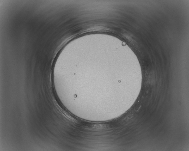 X0000067491322200604211649