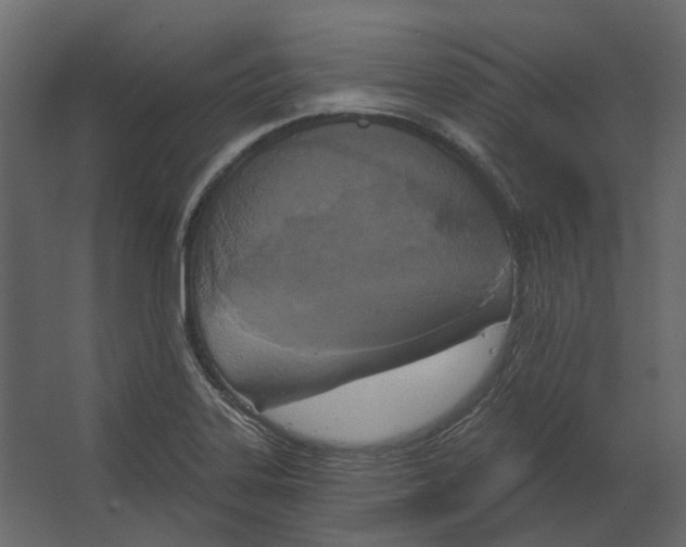 X0000067491323200604211649