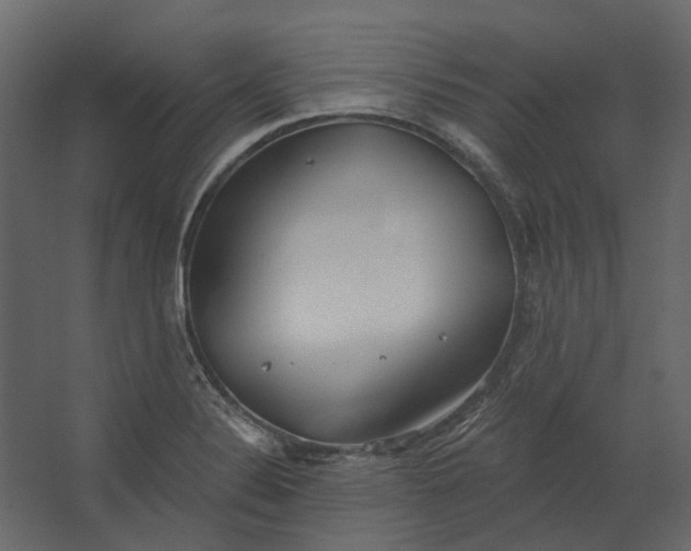 X0000067491324200604211649