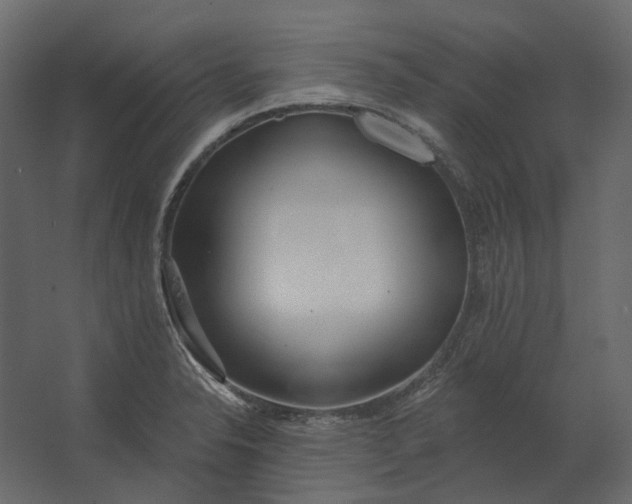 X0000067491326200604211649