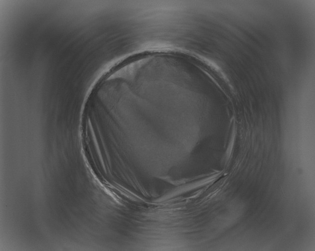 X0000067491327200604211649