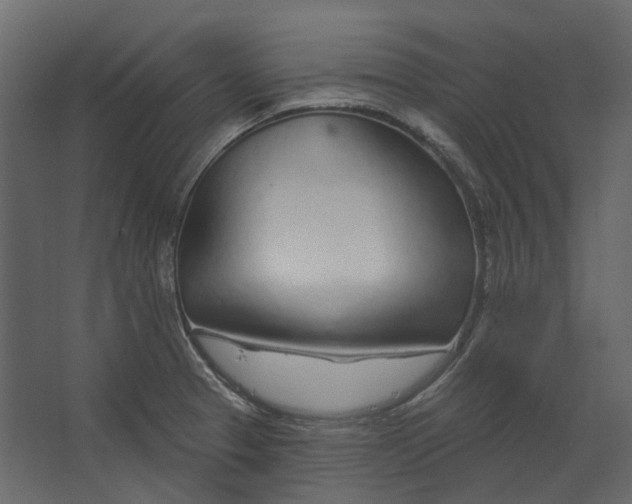 X0000067491329200604211649