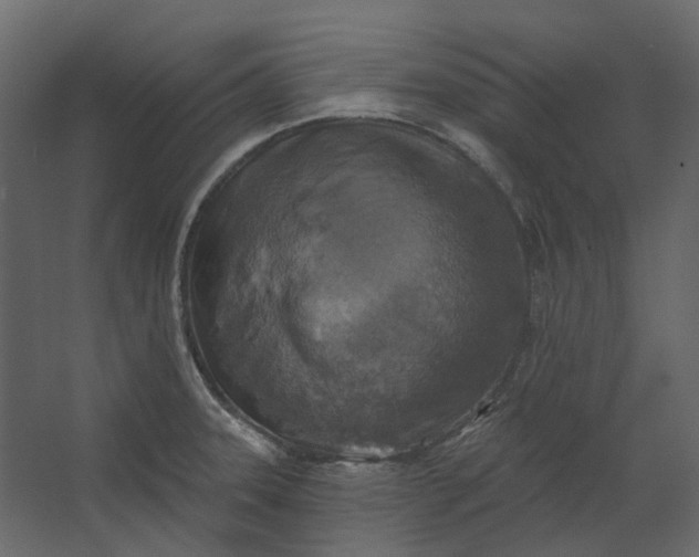 X0000067491331200604211649