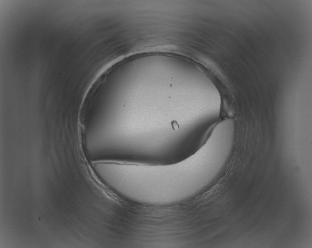 X0000067491332200604211649