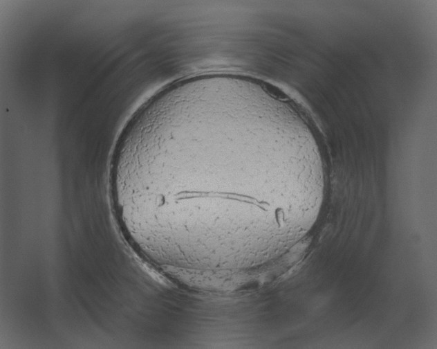 X0000067491333200604211649