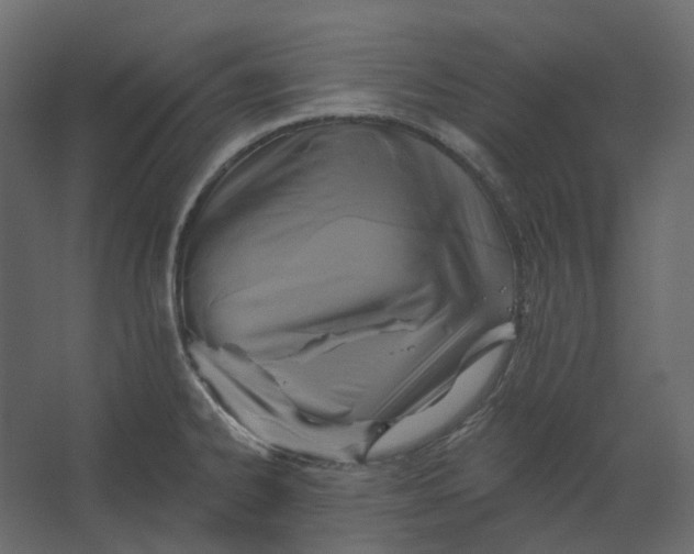 X0000067491334200604211649