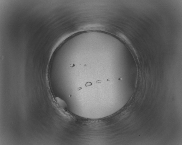 X0000067491336200604211649