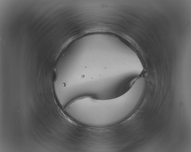 X0000067491337200604211649