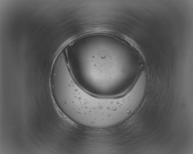 X0000067491338200604211649