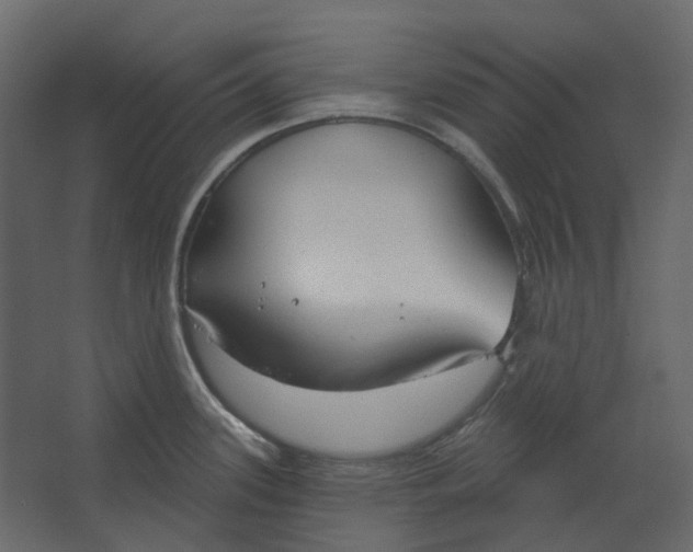 X0000067491339200604211649