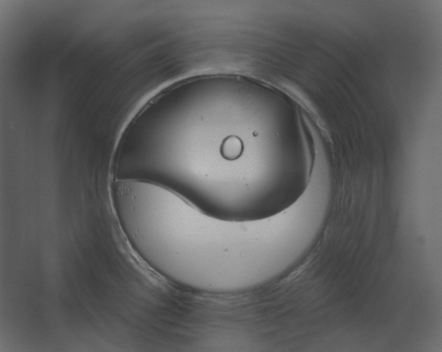 X0000067491340200604211649