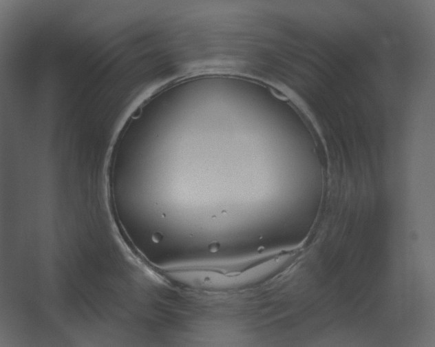 X0000067491341200604211649