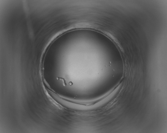 X0000067491342200604211649