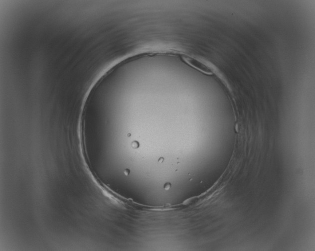 X0000067491343200604211649