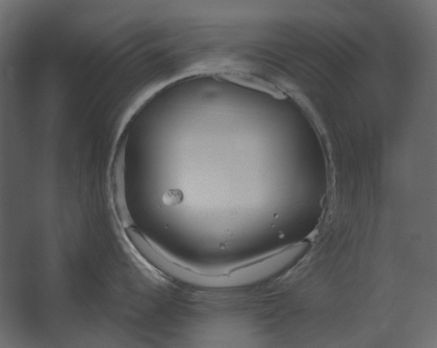 X0000067491344200604211649