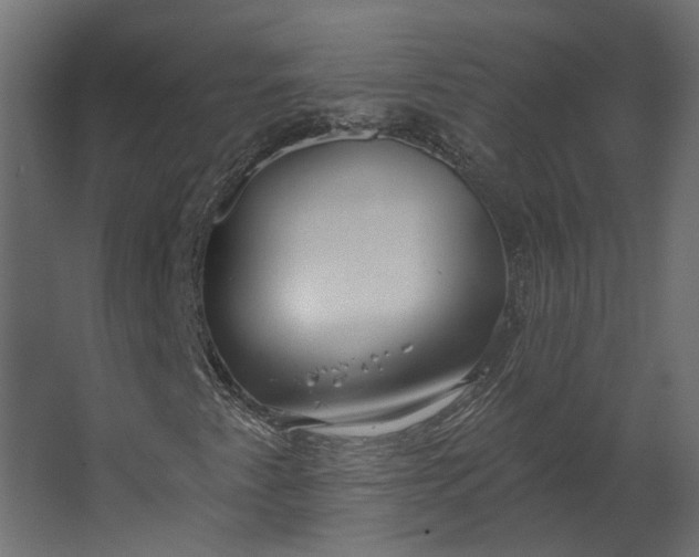 X0000067491345200604211648