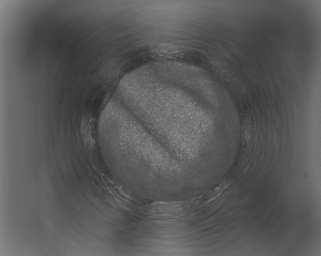 X0000067491346200604211648