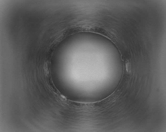 X0000067491347200604211648