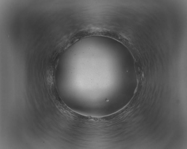 X0000067491348200604211648