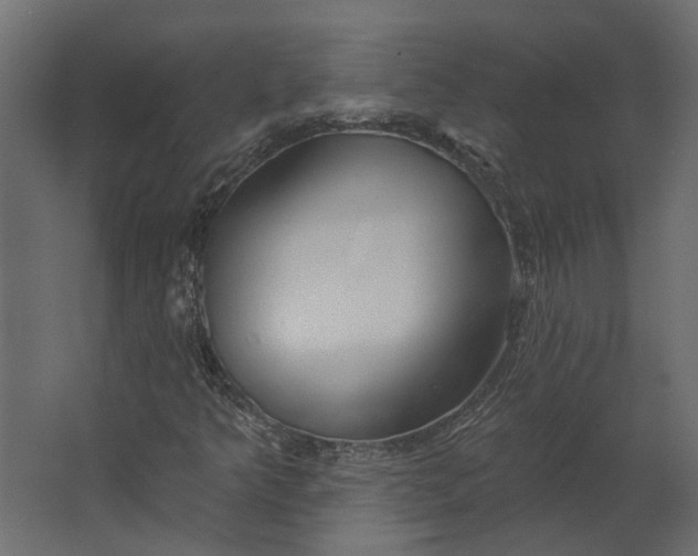 X0000067491349200604211648