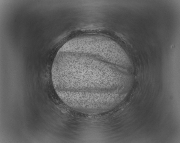 X0000067491350200604211648