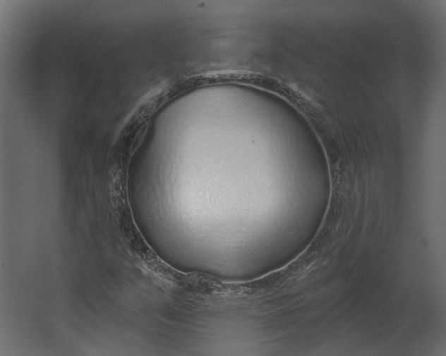 X0000067491351200604211648