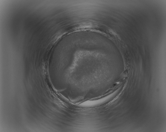 X0000067491353200604211648