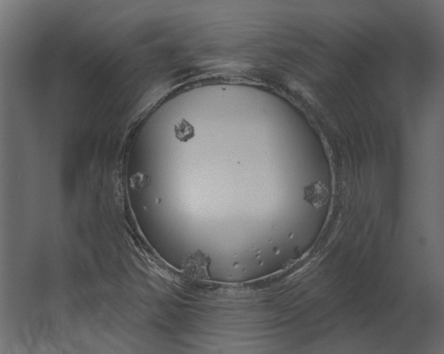 X0000067491354200604211648