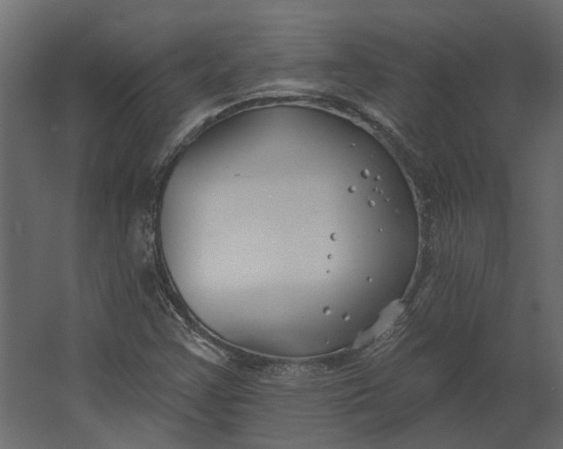 X0000067491355200604211648