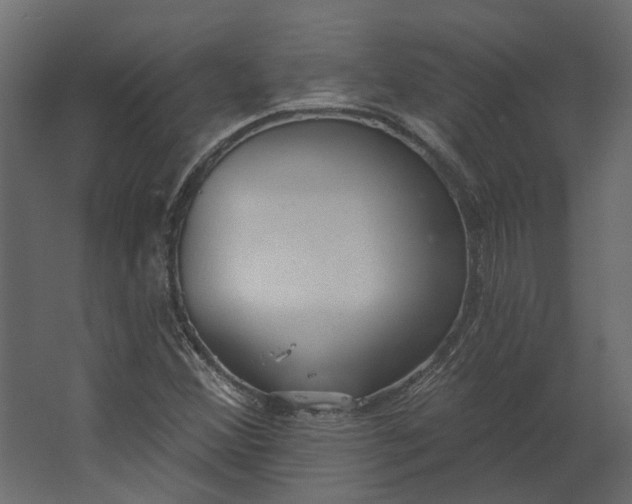 X0000067491356200604211648