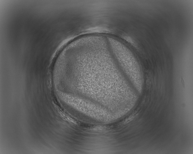 X0000067491358200604211648