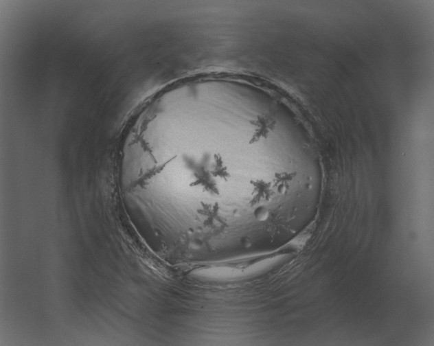 X0000067491359200604211648