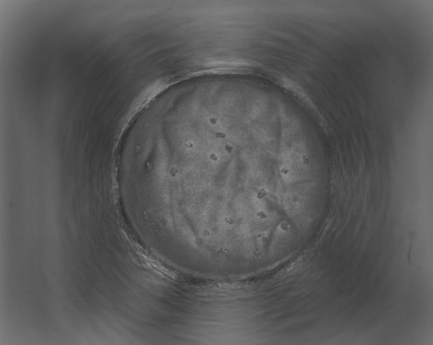 X0000067491362200604211648