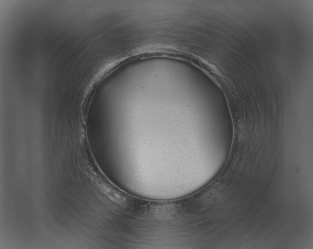 X0000067491363200604211648