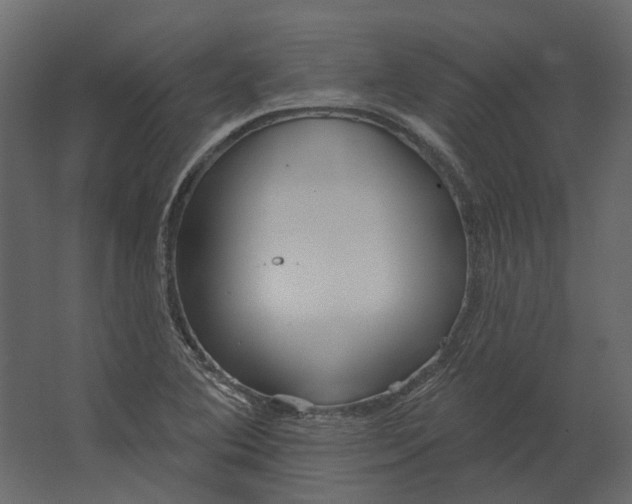 X0000067491364200604211648