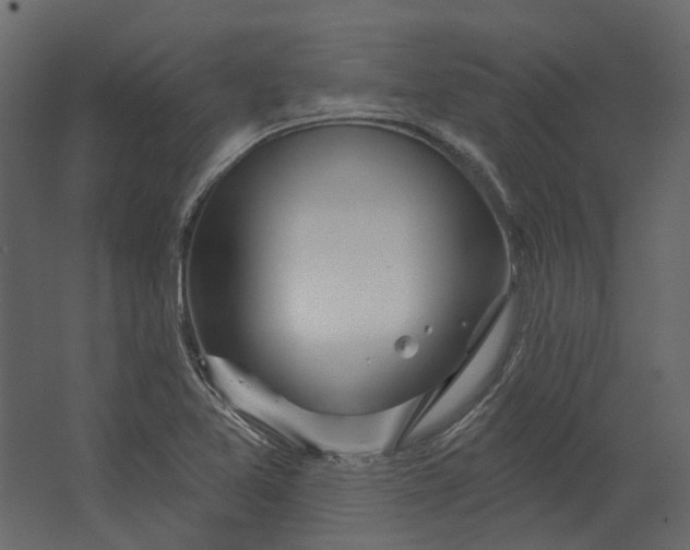 X0000067491365200604211648