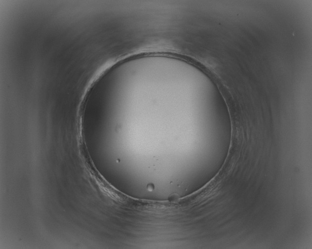 X0000067491366200604211648