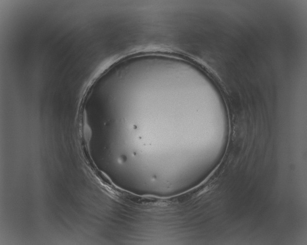 X0000067491367200604211648